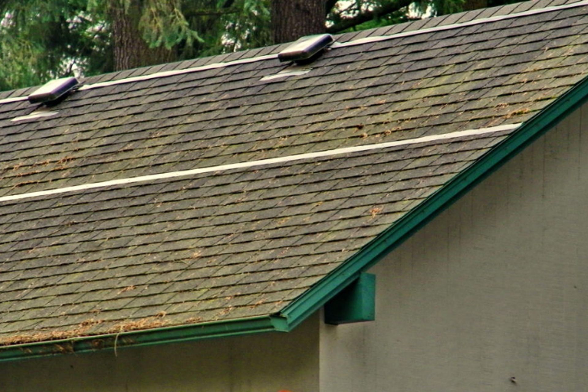 Zinc Strips for Roof Moss Prevention
