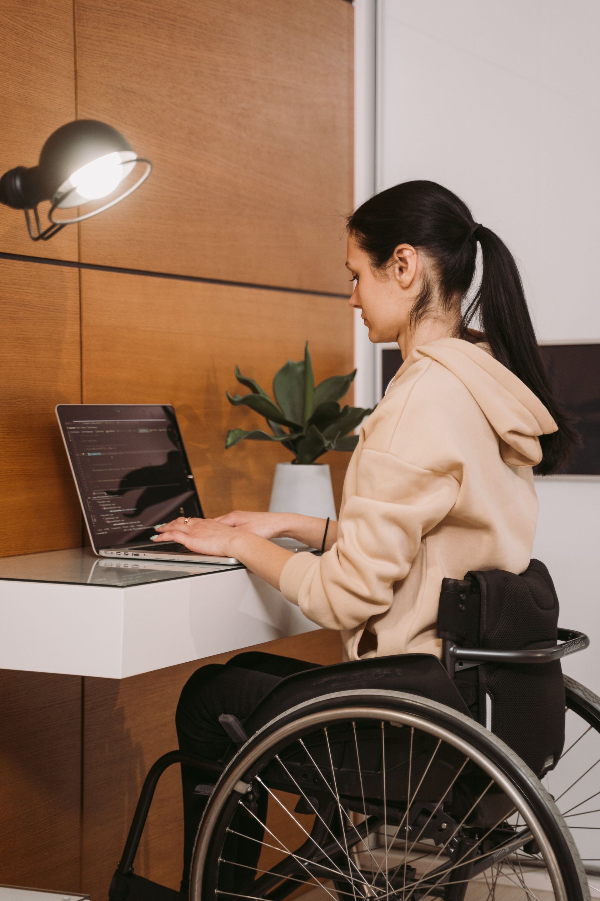 woman in a wheelchair