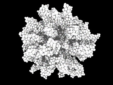 Figure 1. The fractal structure of an interstellar dust nucleus made of carbon atoms.