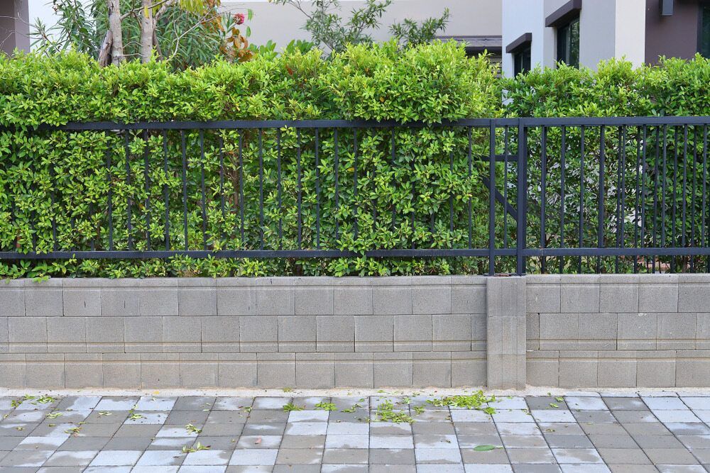 A Brick Wall With a Metal Fence Surrounded by Green Bushes — Lakecrest Projects in Lake Macquarie, NSW