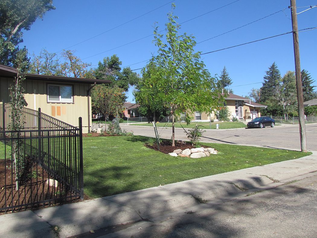 Lawn and tree in front of apartment building, black fence, car in the distance, sunny day.