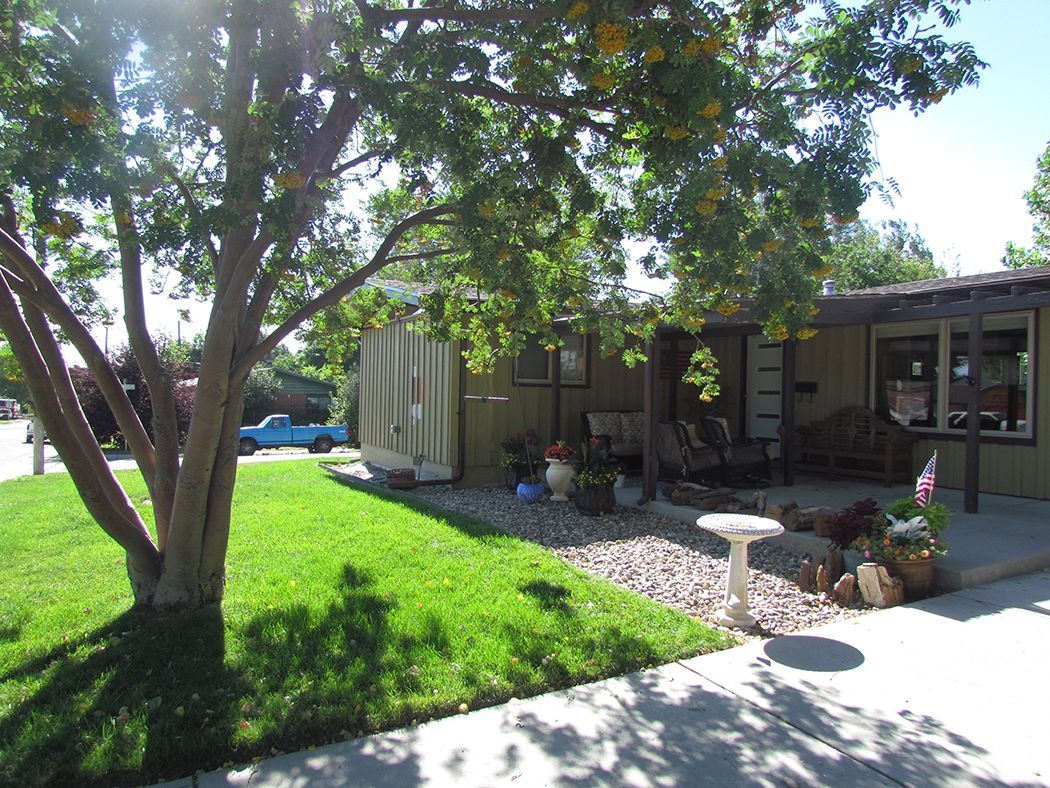 A small house with green lawn and tree shading a sitting area with a bird bath.