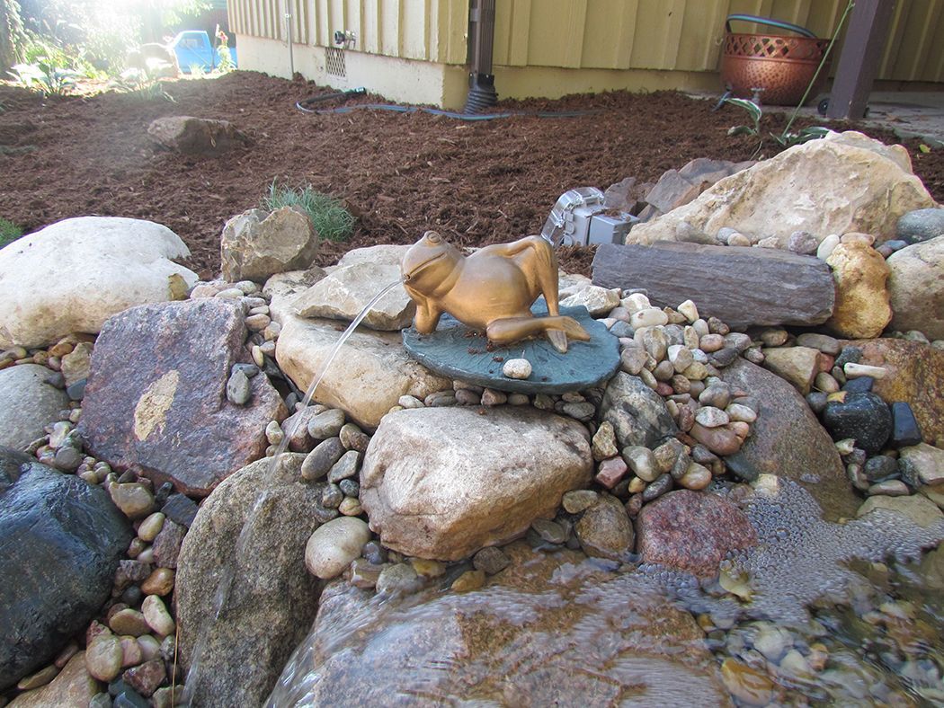 Frog fountain among rocks, water flowing, surrounded by pebbles and mulch.