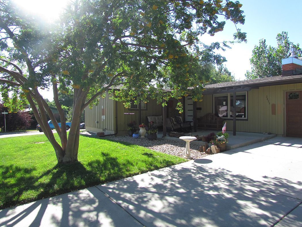 House with green lawn, tree, and driveway on a sunny day.