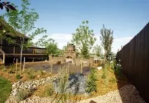 Backyard with a small pond, trees, and a stone structure under a clear sky.