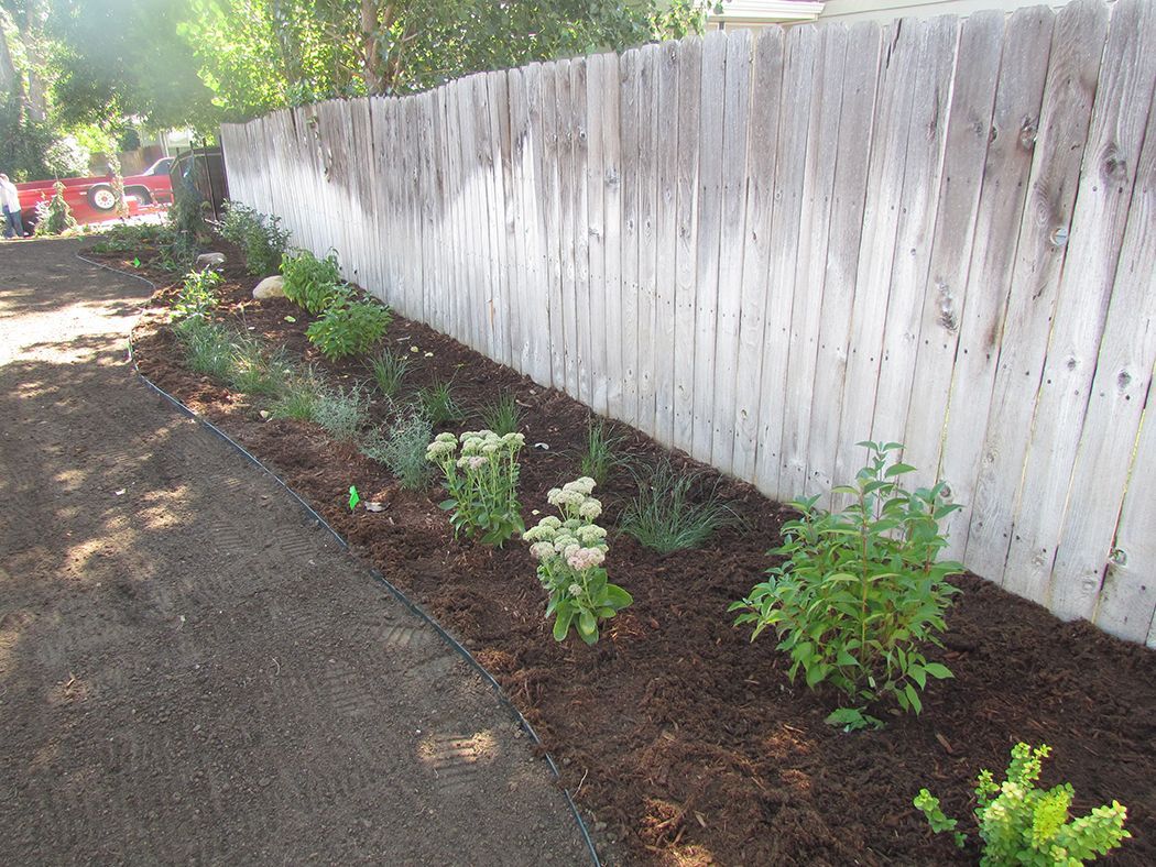 Garden bed with various green plants and brown mulch next to a weathered wooden fence.