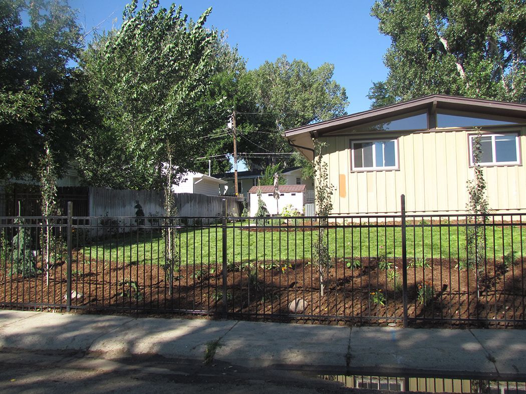 A light yellow house behind a black fence on a sunny day with green grass and trees.