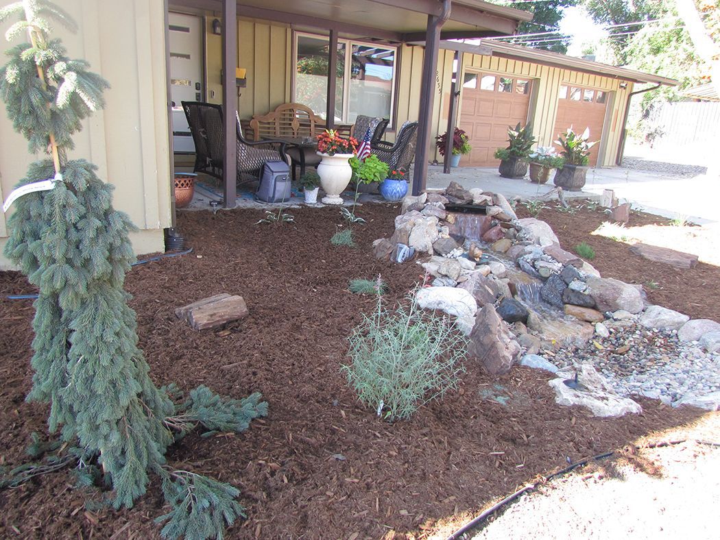 Landscaped front yard with a weeping blue spruce, waterfall, and covered porch.