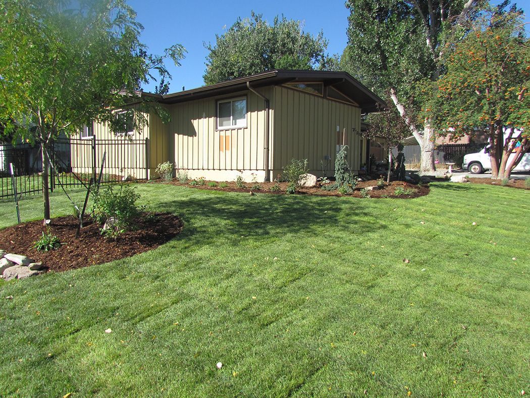 Tan house with a green lawn, flower beds, and trees under a blue sky.