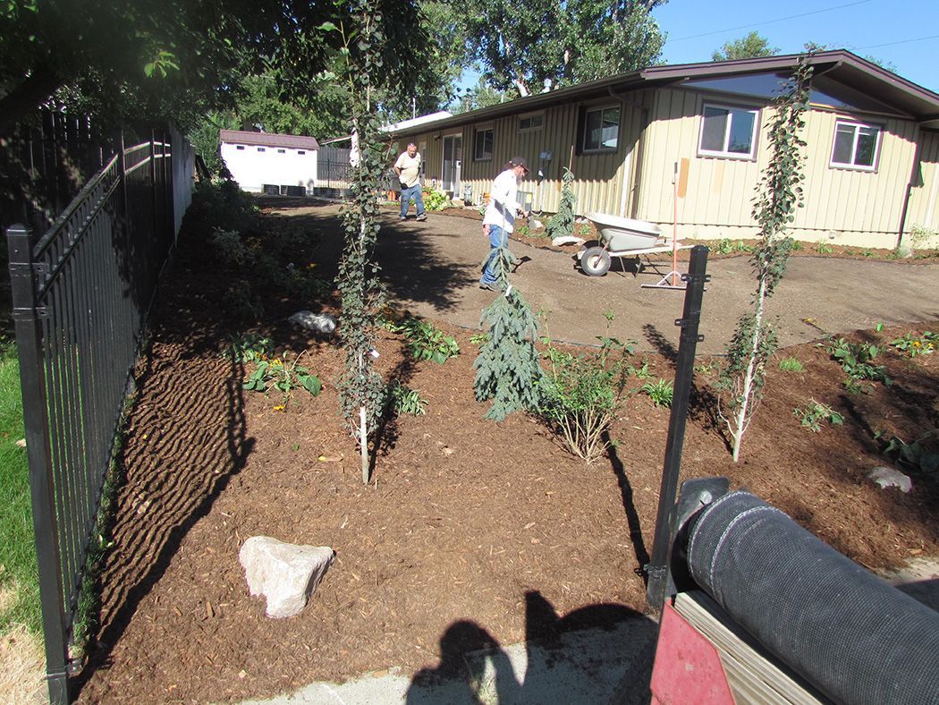 A backyard with newly planted trees and mulch; two people work near a house.