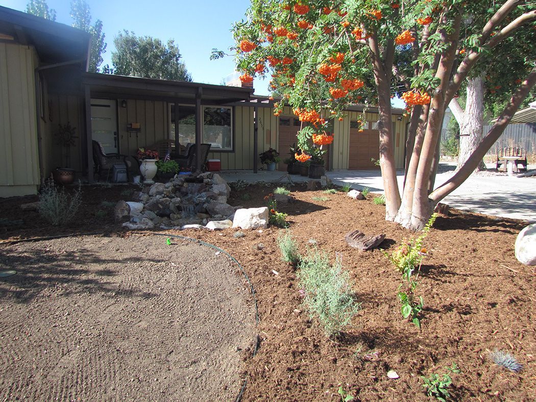 A house with landscaping, orange tree, gravel path, and mulched beds.