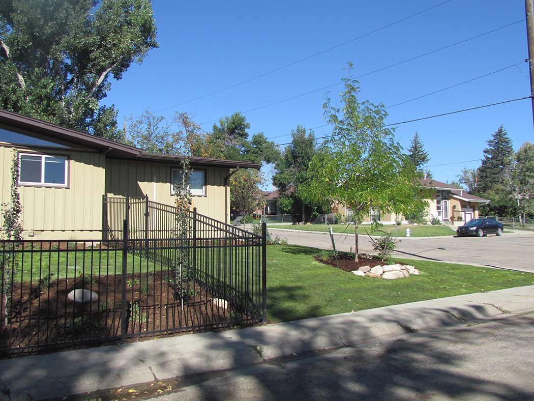 Houses with lawns and trees along a street, sunny day.