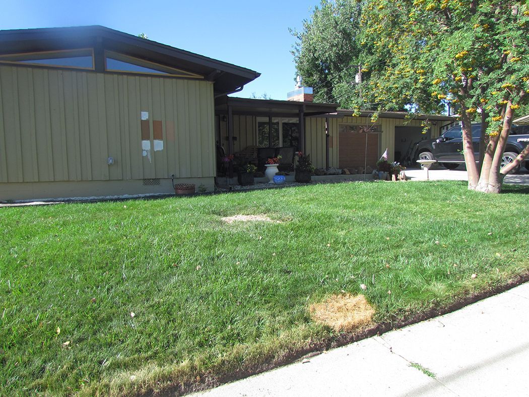 Single-story house with green lawn and tree in front. Beige siding, carport, and blue sky in the background.