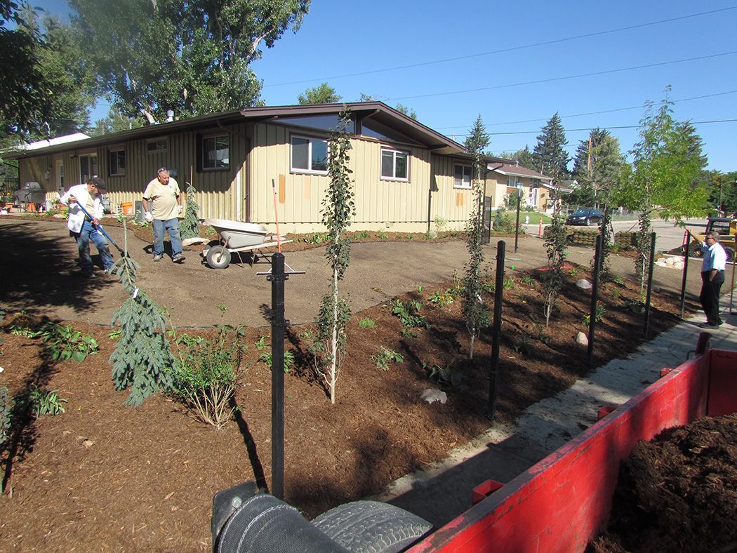 Workers landscaping near a light brown building. They are planting trees, using wheelbarrows, and spreading mulch on a sunny day.