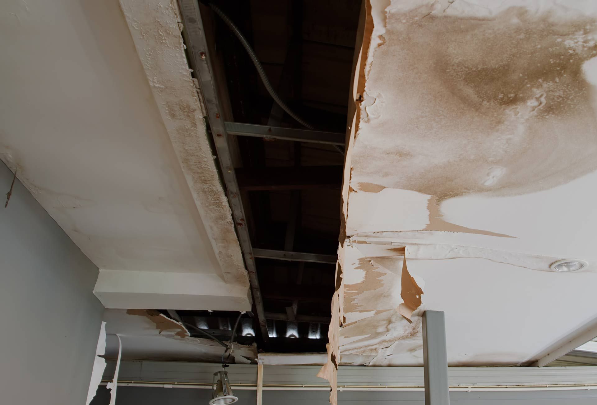 Water on dark hardwood floor near a window, with a rug partially visible.