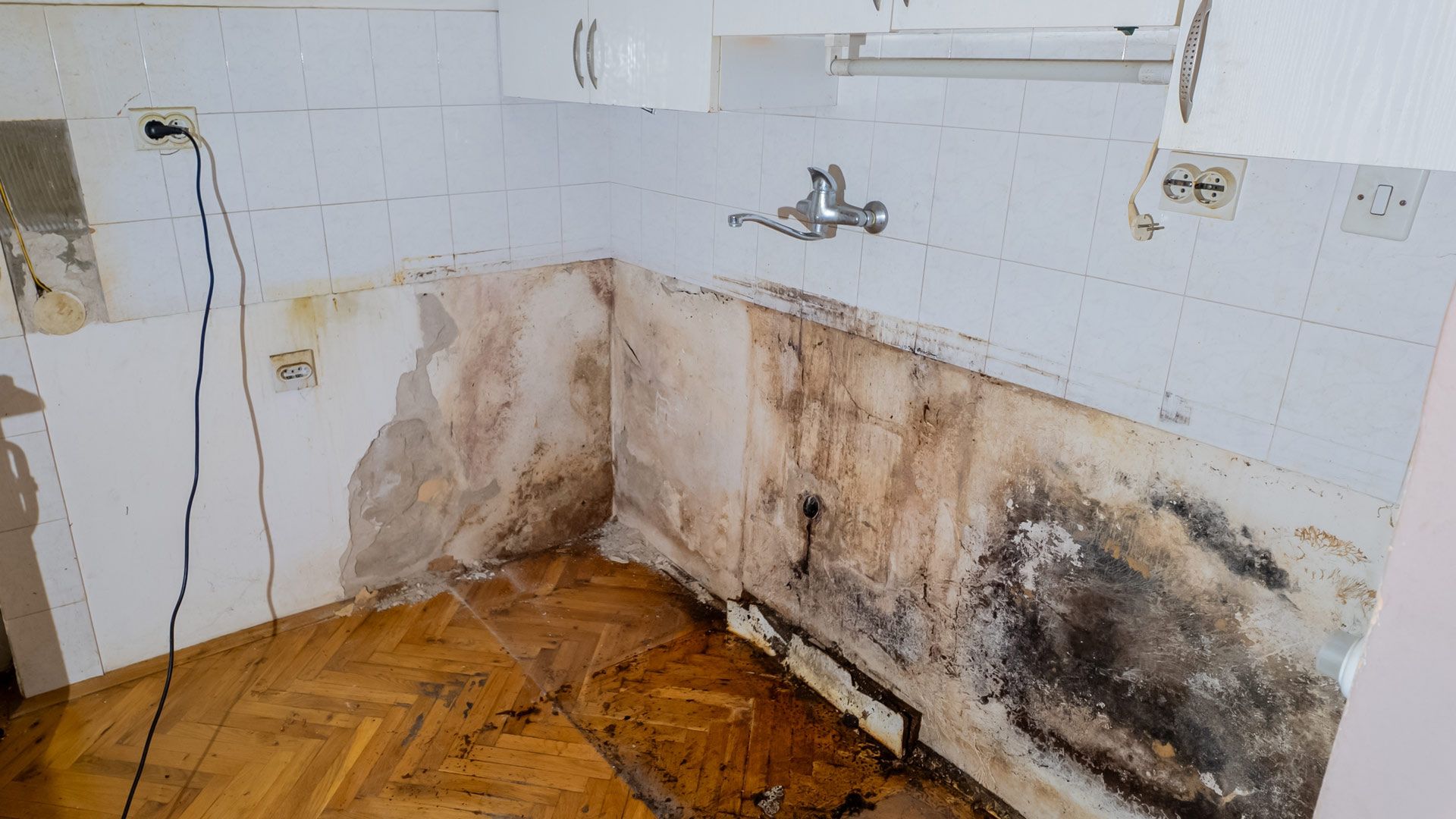 Kitchen with extensive mold damage to walls, flooring and tiling; likely due to water leak.