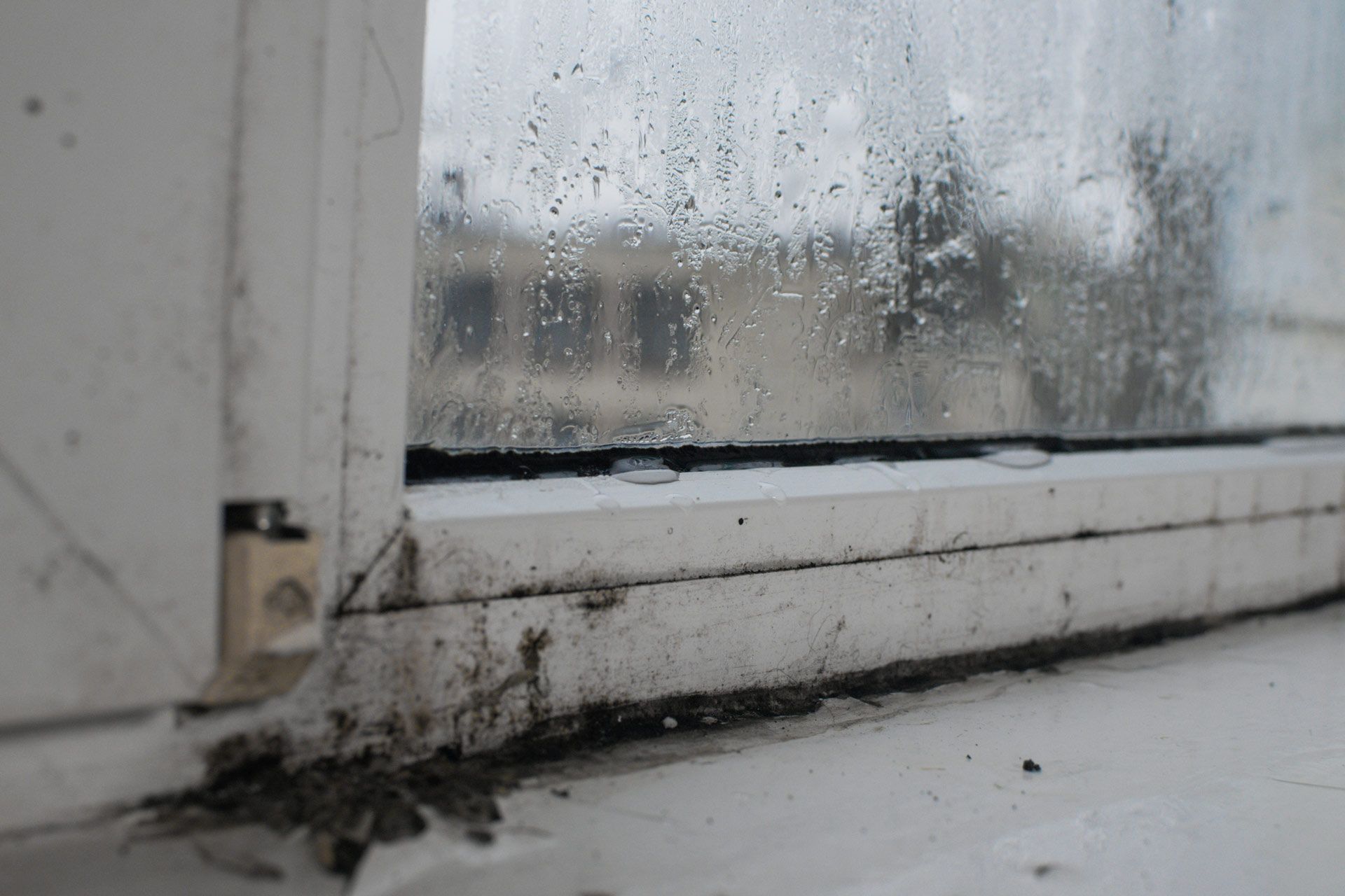 Close-up of a condensation-covered window with dirty, moldy trim.