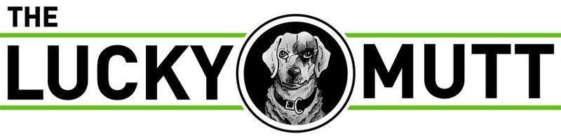 The lucky mutt logo has a picture of a dog on it.