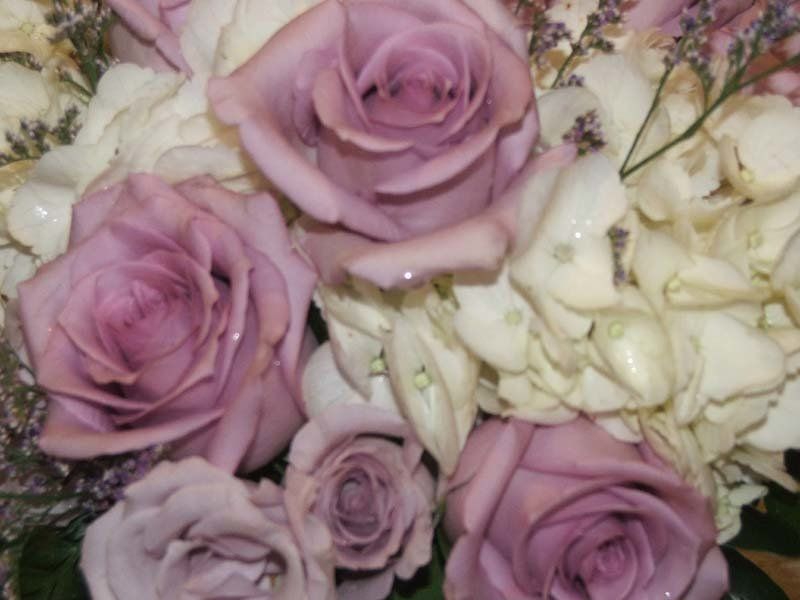 Pink and White Roses Bouquet