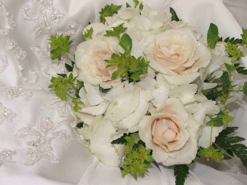 White Roses