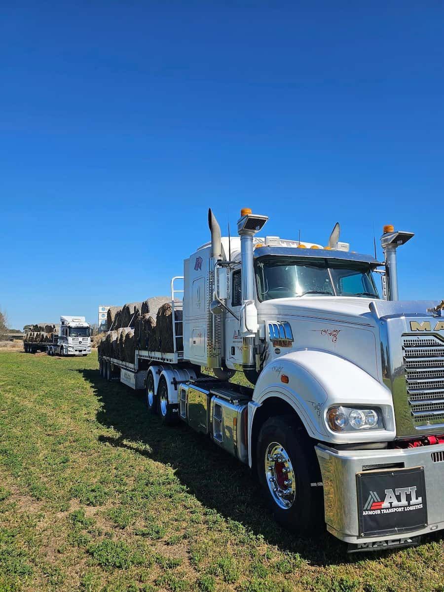 A White Semi Truck Is Parked In A Grassy Field — Armour Transport Logistics In Narrabri, NSW
