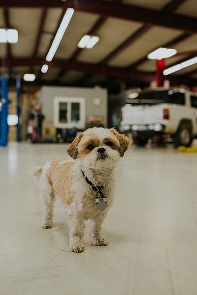 Gallery | Mark's Automotive