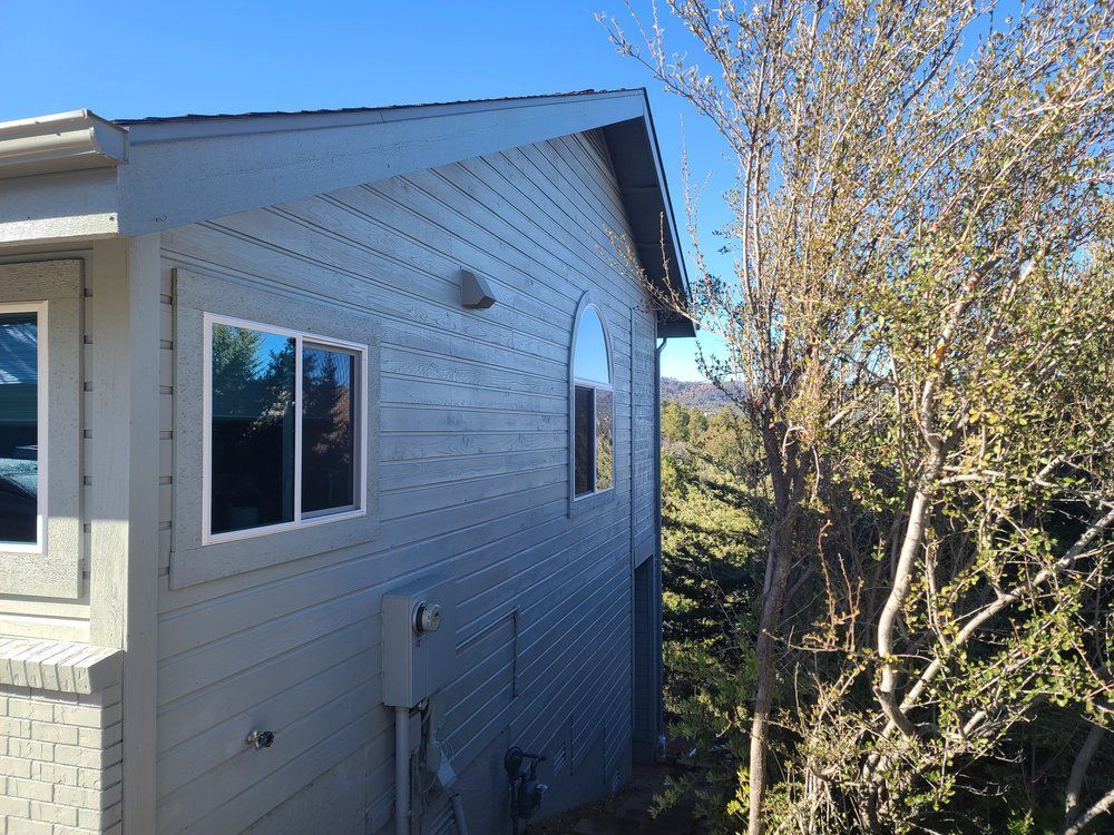 A house with a lot of windows and a tree in front of it