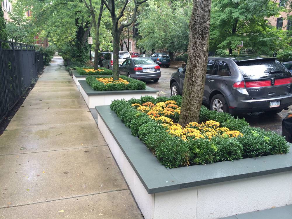 Cityscape Landscape Chicago, IL Home