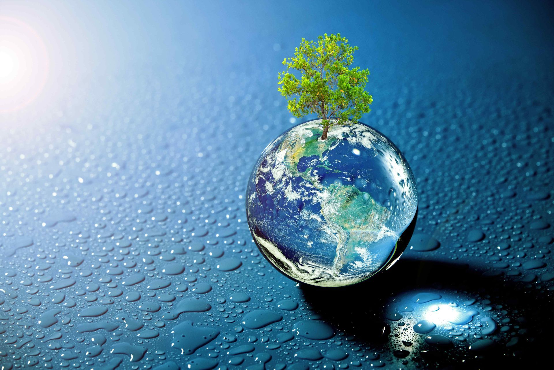 A water droplet resembling the earth sprouts a single, green tree.