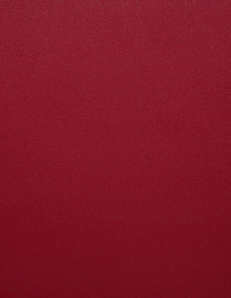 Tech Red Custom Garage Cabinet Color