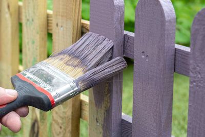 Exterior Fence Staining
