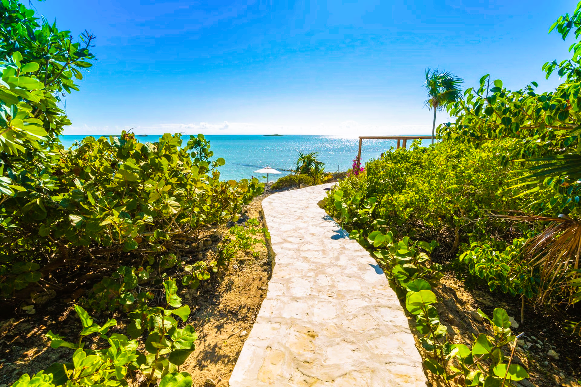 A path leading to the beach is surrounded by trees and bushes.