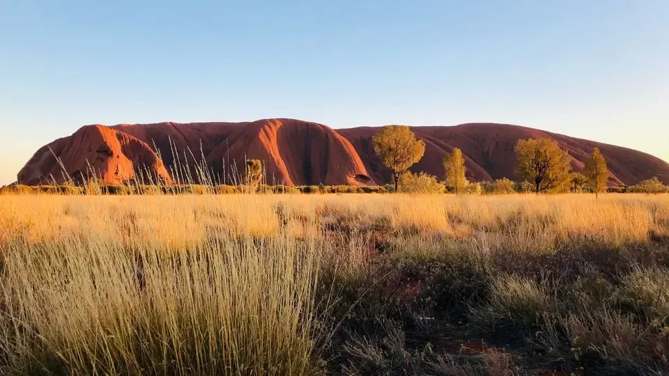 Uluru (Ayers Rock) at sunrise: red rock formation, golden grass, blue sky.
