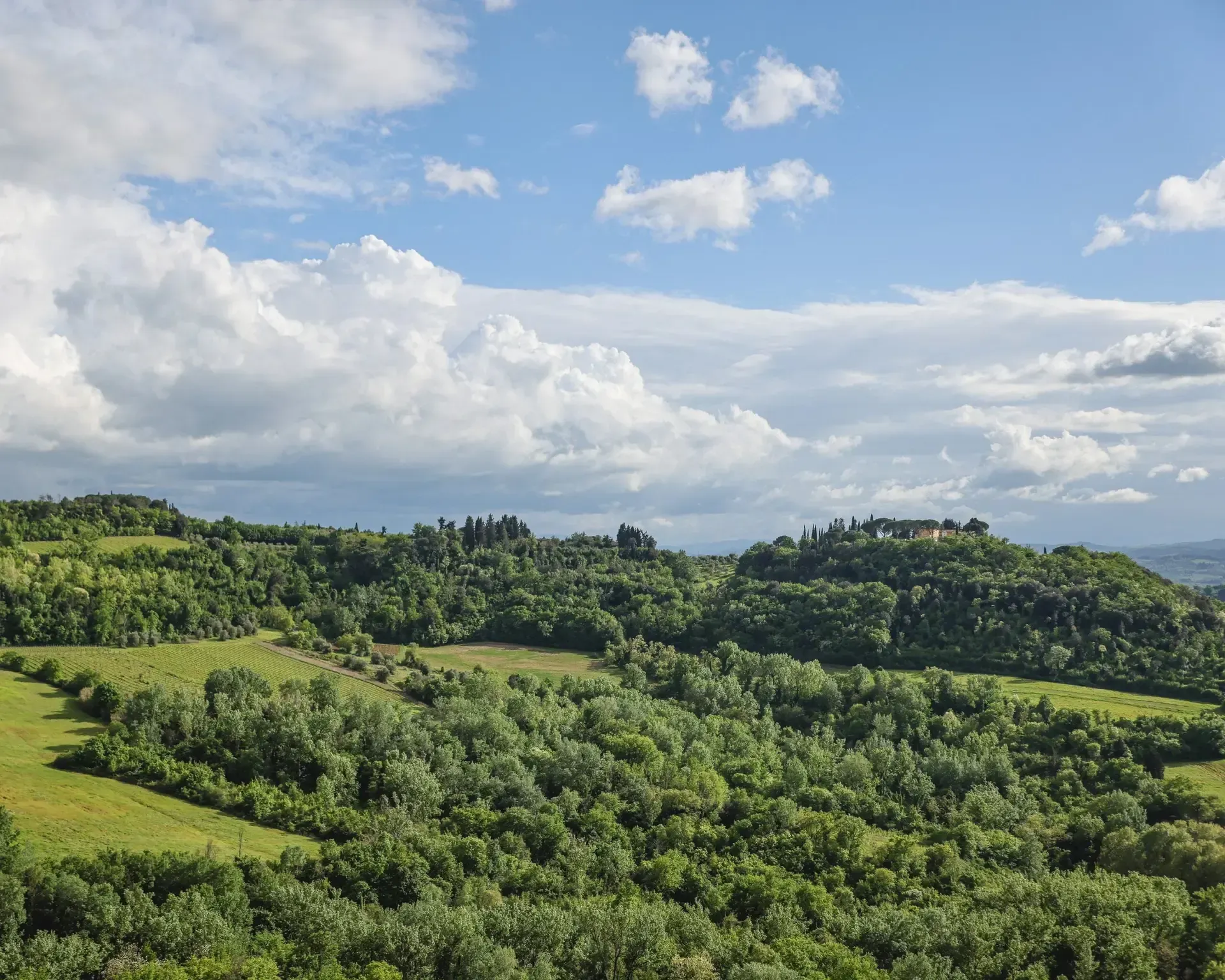 Rolling green hills covered in trees under a partly cloudy sky.