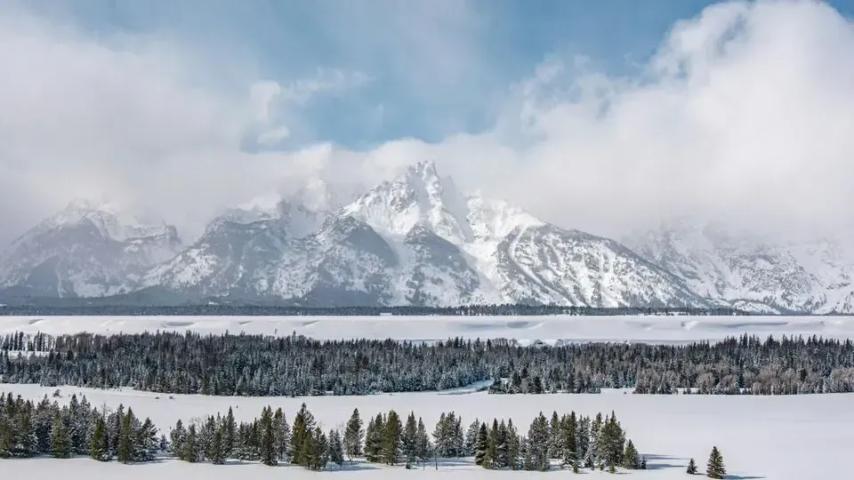 Snow-covered mountain range rising above a frozen landscape with a line of evergreen trees. Cloudy sky.
