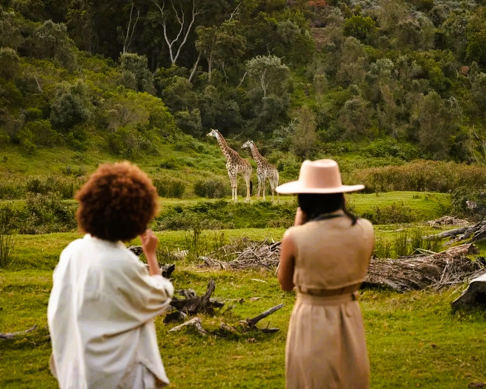 Two people photographing giraffes in a lush green field near a wooded area.
