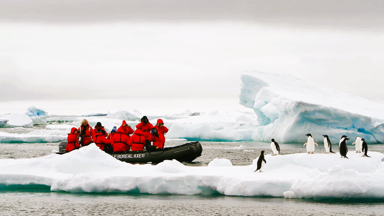 Tourists in red jackets on a boat view penguins on an iceberg in Antarctica.