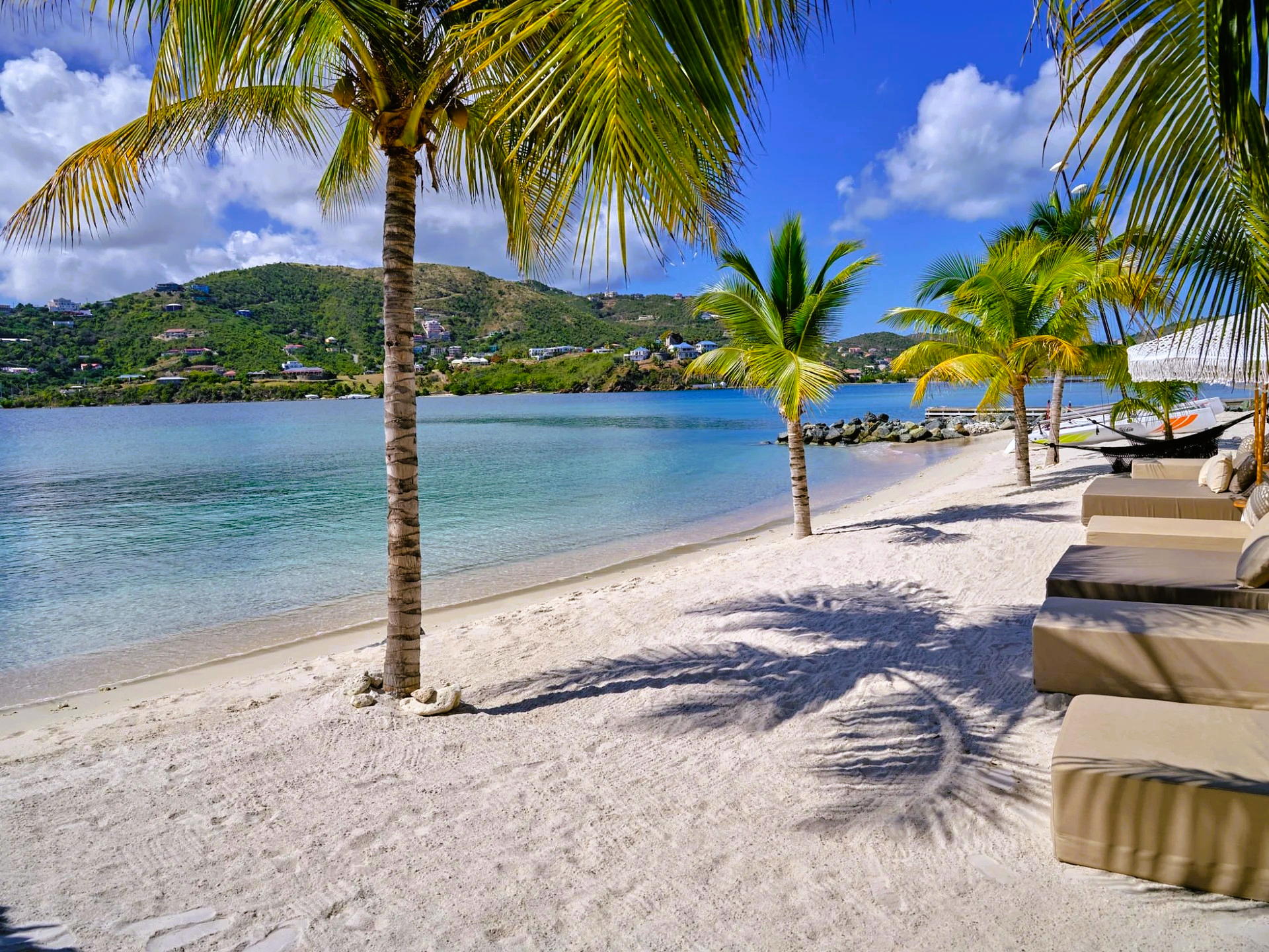 A tropical beach with palm trees and chairs on it