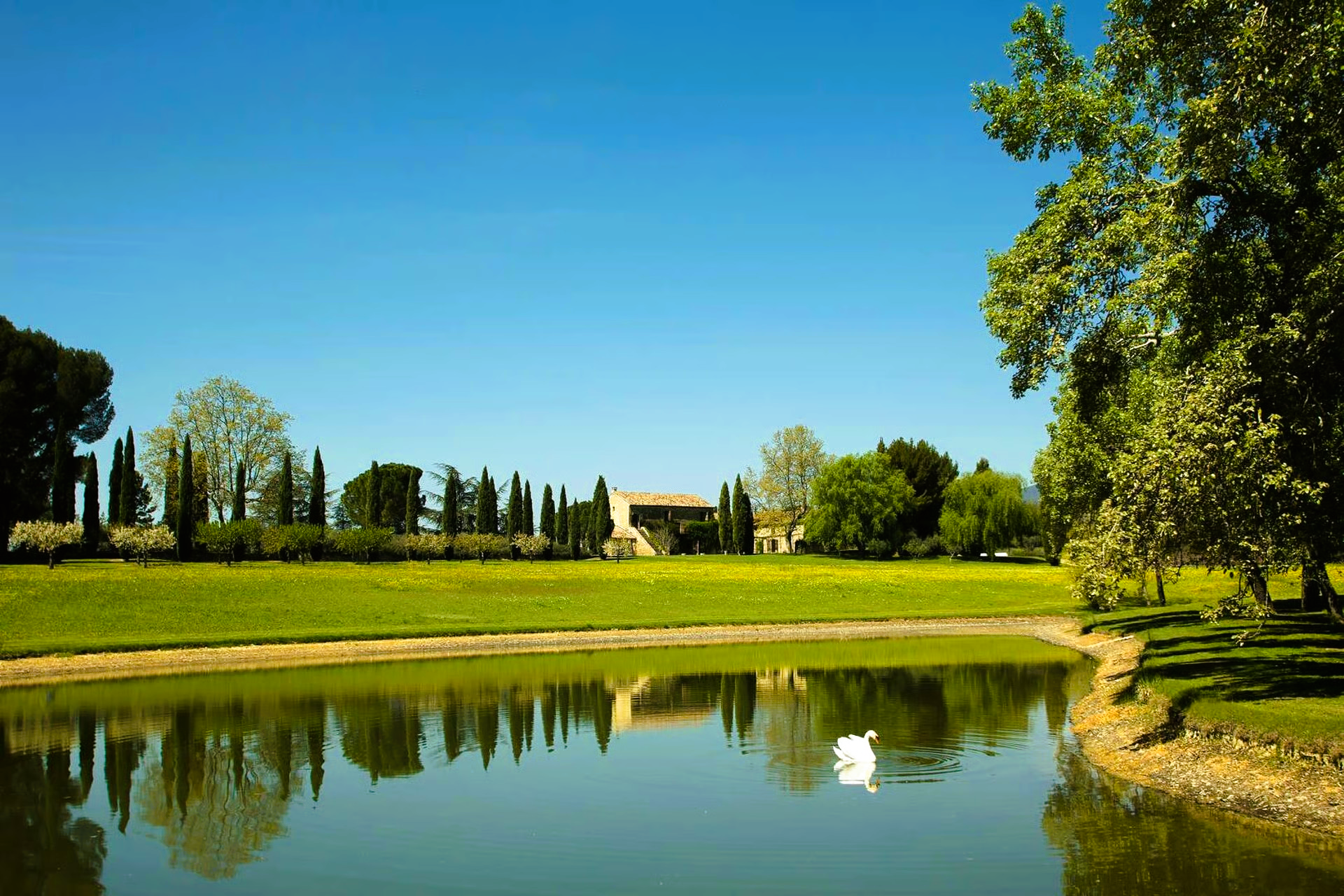 Tranquil lake reflects blue sky and trees; a swan swims, a building sits on a grassy hill.