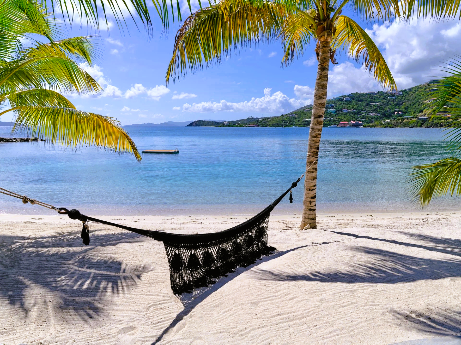 A hammock is hanging from a palm tree on a beach.