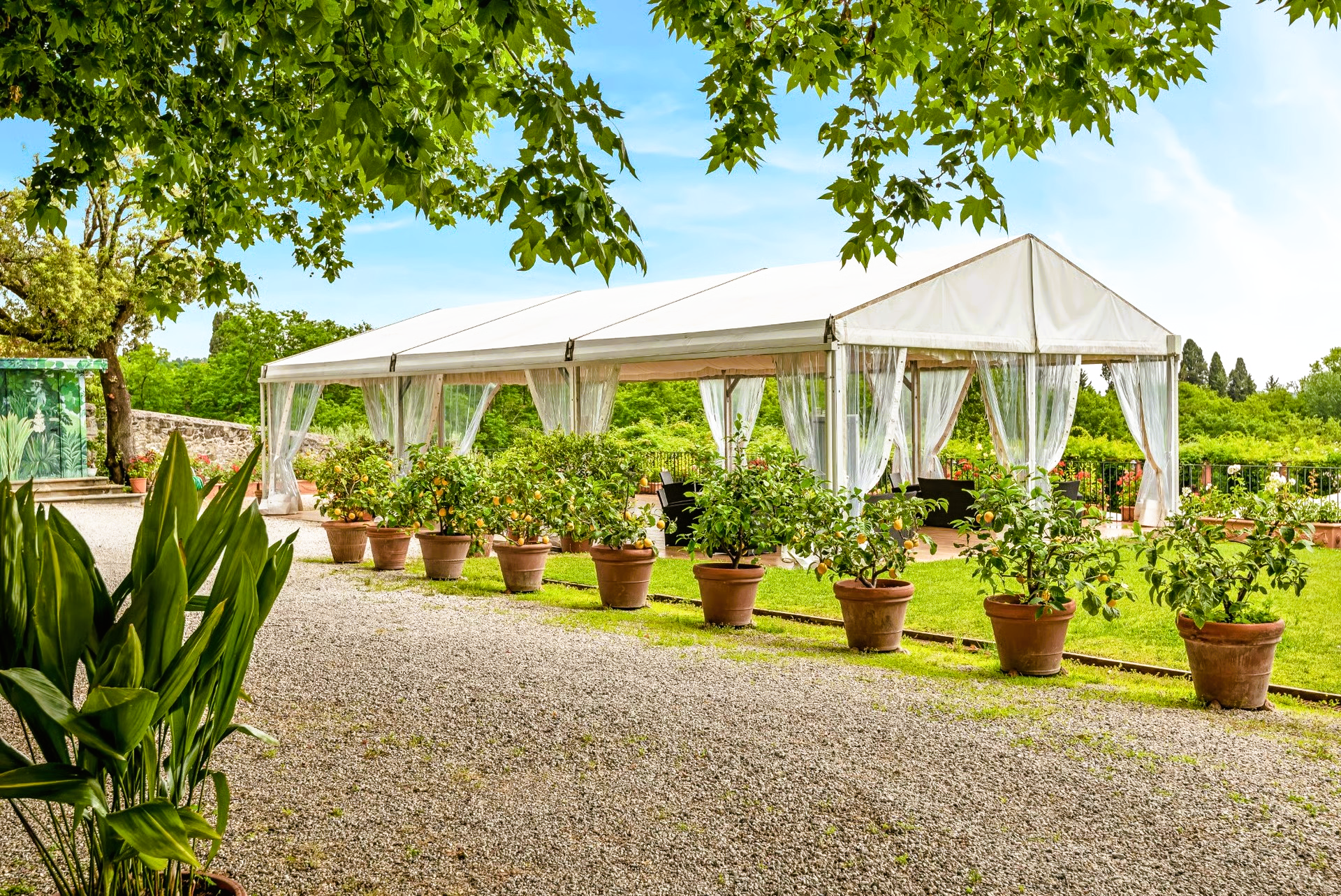 Outdoor tent with potted plants along a gravel path. Green foliage and blue sky visible.