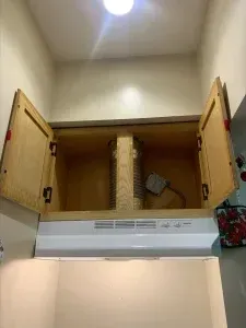 Open kitchen cabinet above a white range hood; interior view of the empty cabinet.
