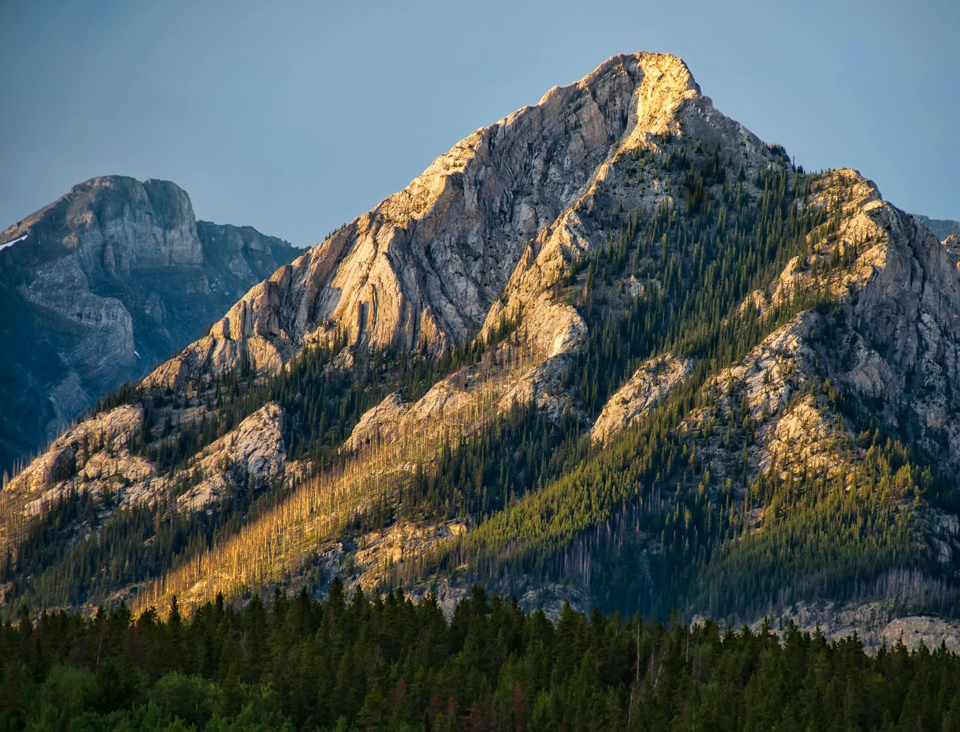 A mountain with trees on the side of it and a blue sky in the background.