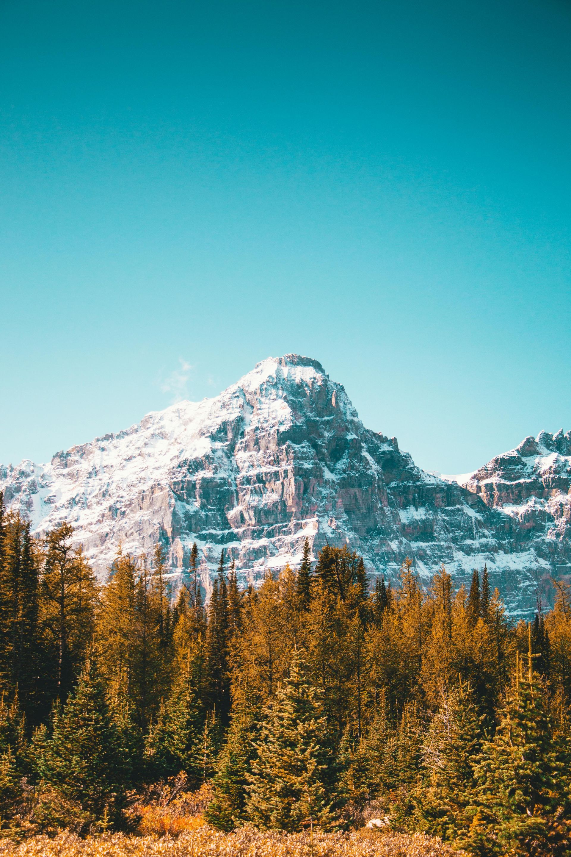 There is a mountain in the background with snow on it and a forest in the foreground.