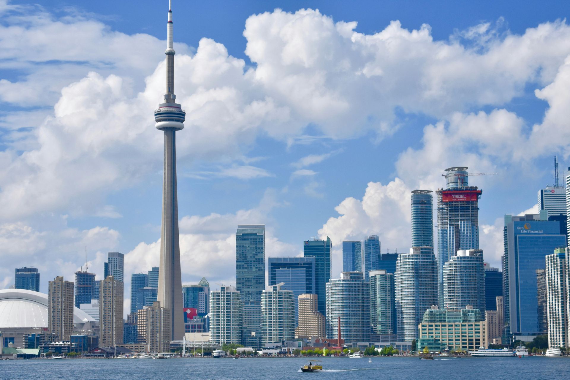 A city skyline with the cn tower in the foreground