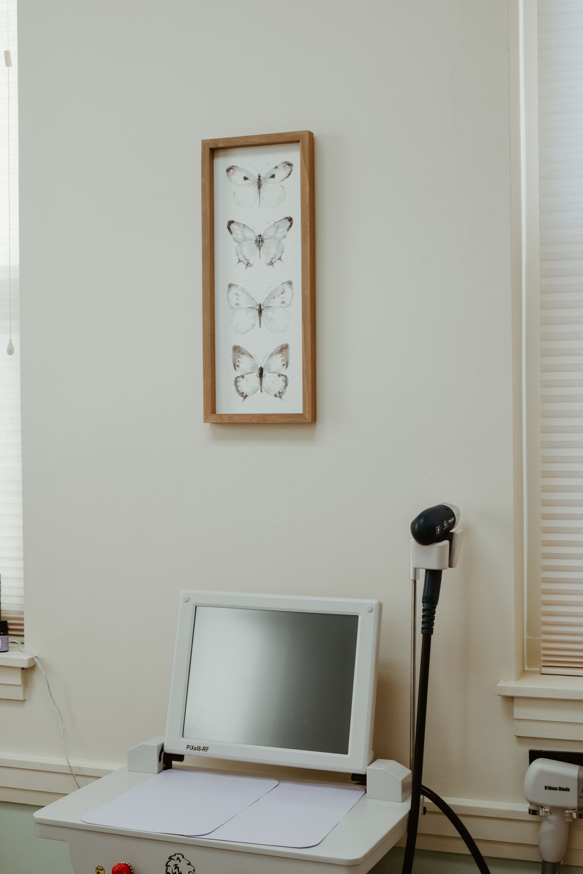 There is a picture of butterflies on the wall above a machine.