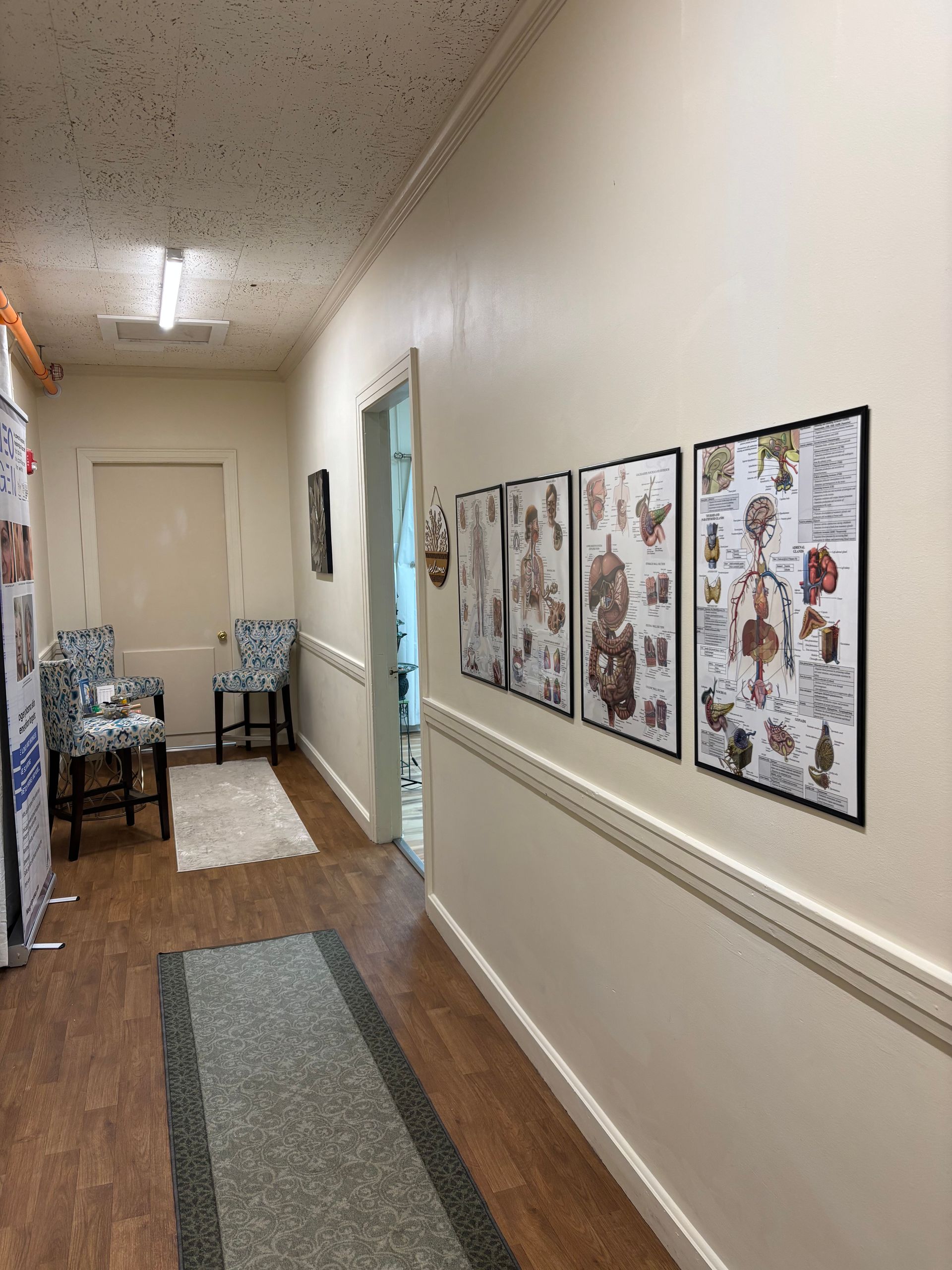 Hallway with anatomical posters, chairs, and a door. Wooden floors and cream-colored walls.