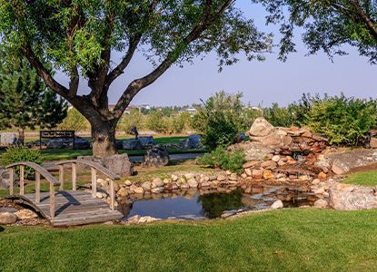 Wooden bridge over a pond with a small waterfall in a park with a large tree and bench.