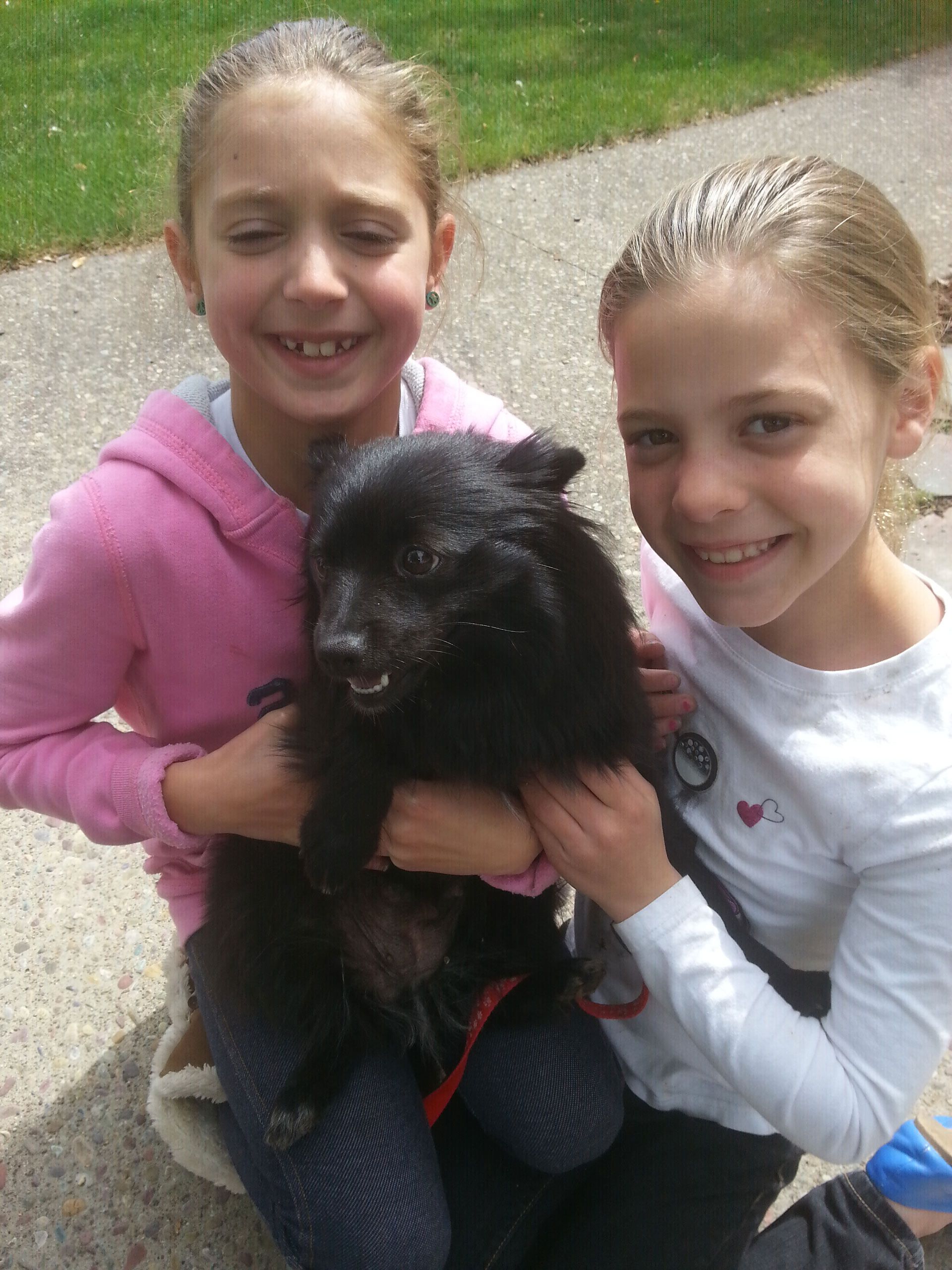 Two young girls are holding a small black dog