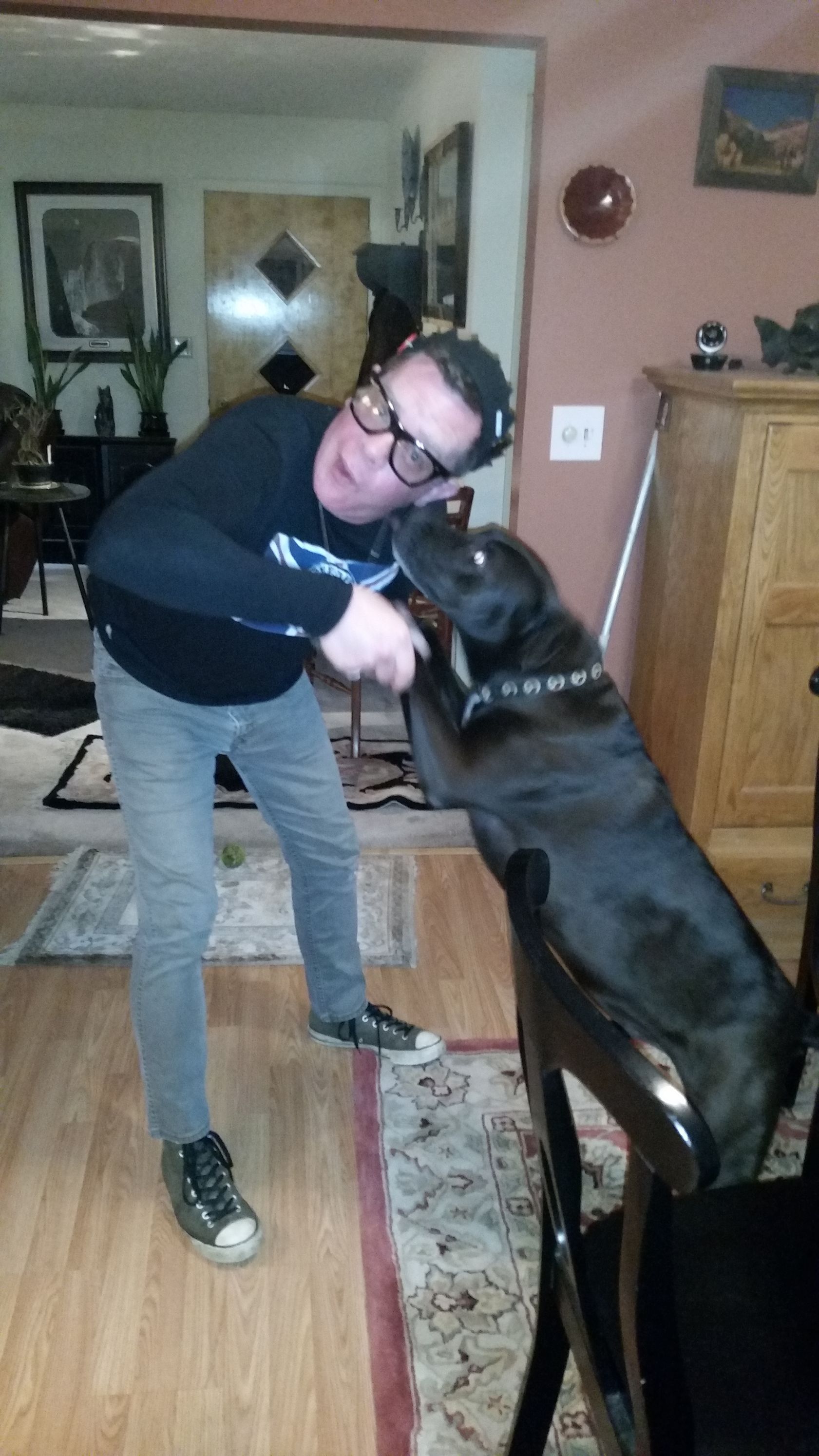 A man and a dog are standing next to each other in a living room